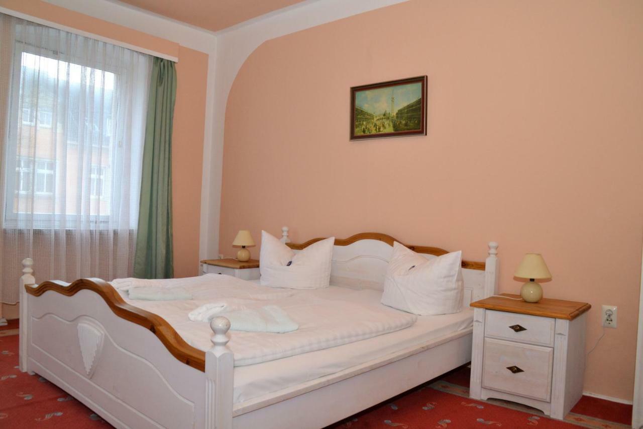 Hotel Central Bad Elster Εξωτερικό φωτογραφία